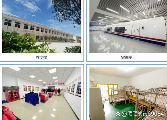 数字时代的技术基石 大数据、网络信息安全与软件开发的协同演进